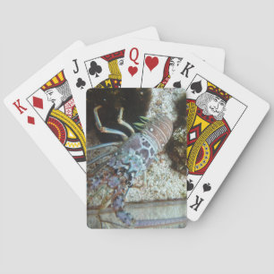 Hard Shelled Deck of Playing Cards