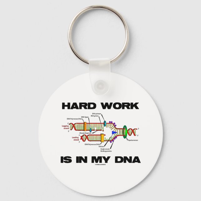 Hard Work Is In My DNA (DNA Replication) Key Ring (Front)
