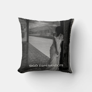 HARDCOVER NOTEBOOK CUSHION
