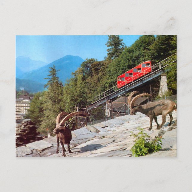 Harder Kulm Funicular Railway, Interlaken Postcard (Front)