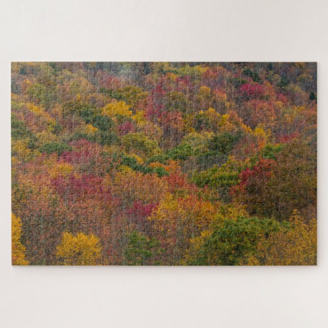 Hardwood Forest in Randolph County, West Virginia Jigsaw Puzzle (Horizontal)