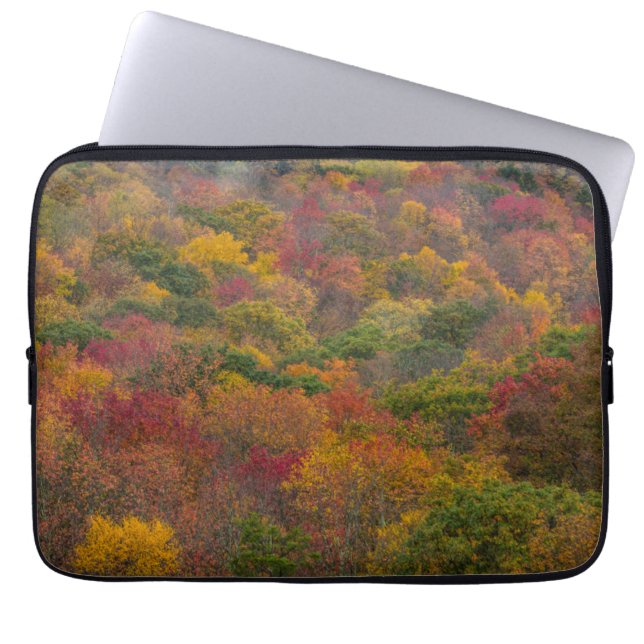 Hardwood Forest in Randolph County, West Virginia Laptop Sleeve (Front)