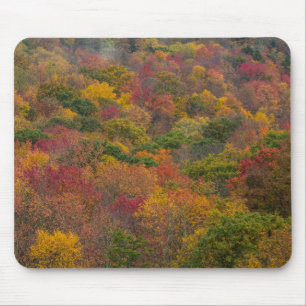 Hardwood Forest in Randolph County, West Virginia Mouse Pad