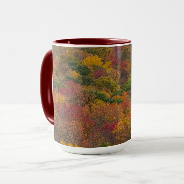 Hardwood Forest in Randolph County, West Virginia Mug (Front Left)