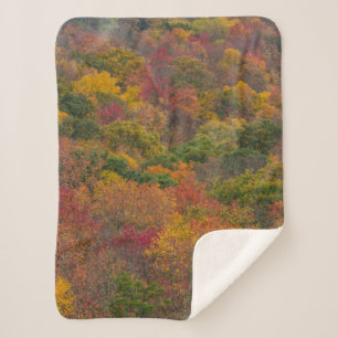 Hardwood Forest in Randolph County, West Virginia Sherpa Blanket