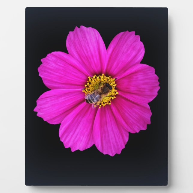 hardworking bee plaque (Front)