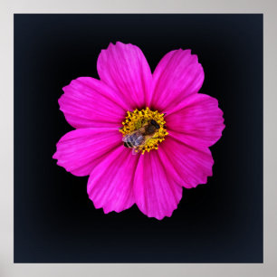 hardworking bee poster