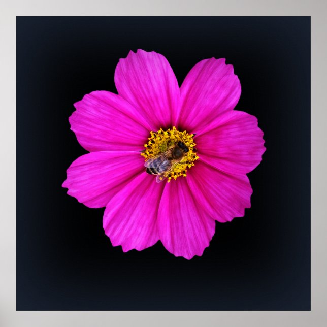 hardworking bee poster (Front)