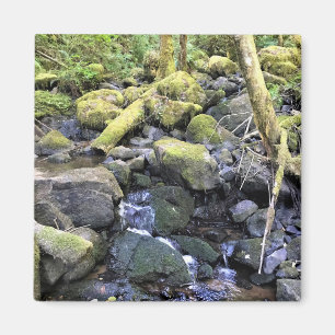 Hardy Creek Magnet