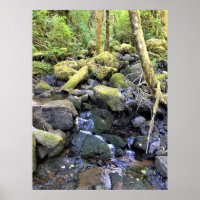 Hardy Creek, Oregon