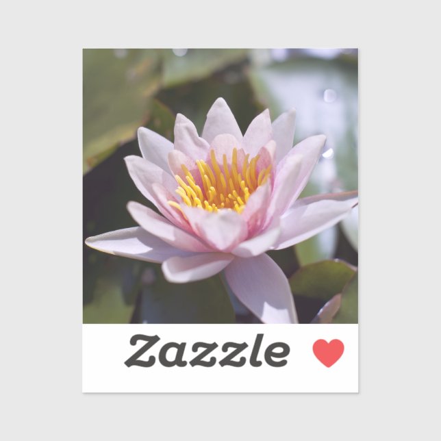 Hardy Water Lily Sticker (Sheet)