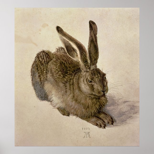 Hare, 1502 poster (Front)