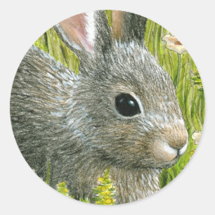 Hare 45 Rabbit Classic Round Sticker