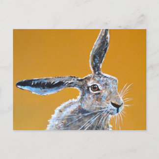 Hare brained! postcard