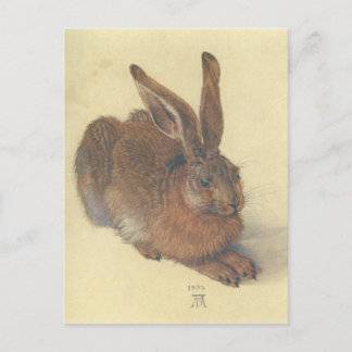 Hare by Albrecht Durer Postcard