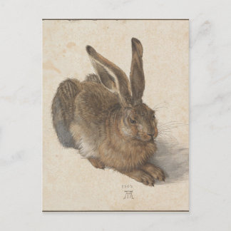 Hare by Albrecht Durer Postcard