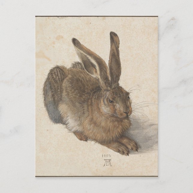 Hare by Albrecht Durer Postcard (Front)