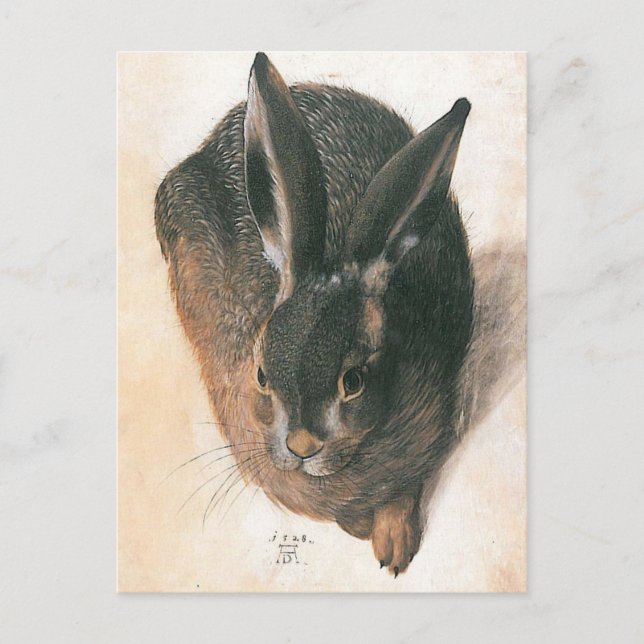 Hare by Albrecht Durer Postcard (Front)