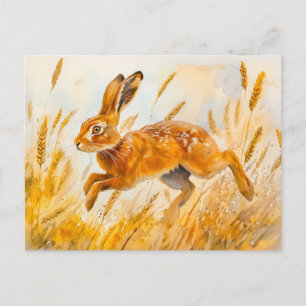 Hare in a cornfield watercolor painting postcard