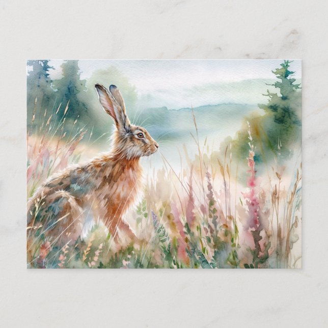 Hare in Meadow Watercolor Art Postcard (Front)
