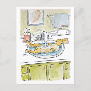 Hare In The Sink postcard