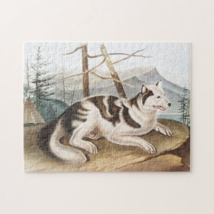 Hare Indian Dog (Canis familiaris) Illustration Jigsaw Puzzle