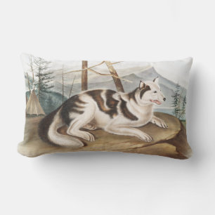 Hare Indian Dog (Canis familiaris) Illustration Lumbar Cushion