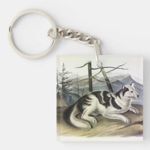 Hare-Indian Dog (Mackenzie River Dog) by Audubon Key Ring