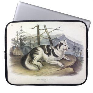 Hare-Indian Dog (Mackenzie River Dog) by Audubon Laptop Sleeve
