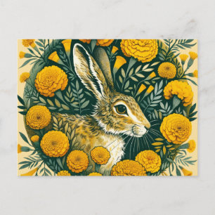 Hare Marigold                                      Postcard