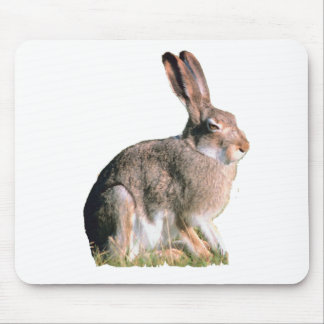 Hare Mouse Pad