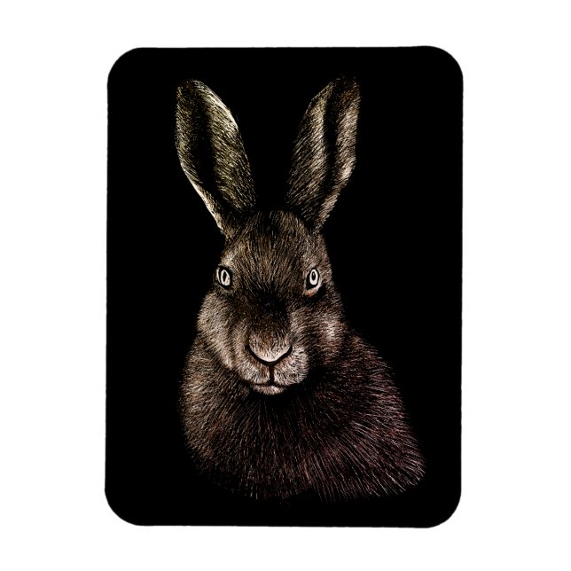 Hare, rabbit, drawing magnet (Vertical)