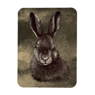 Hare, rabbit, drawing  magnet