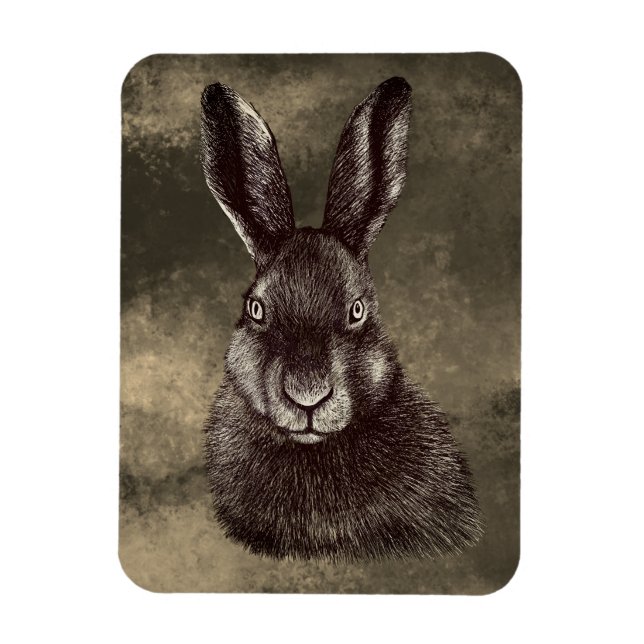 Hare, rabbit, drawing  magnet (Vertical)