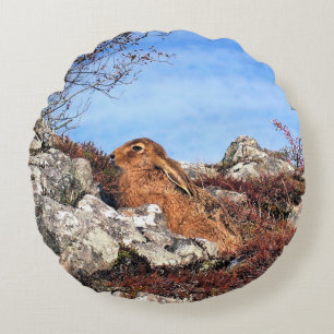 HARE ROUND CUSHION