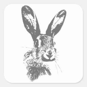 Hare Square Sticker