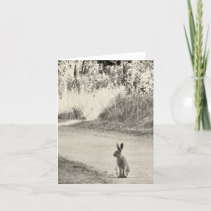 Hare today card