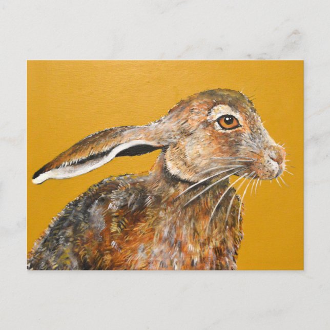Hare today, gone tomorrow postcard (Front)