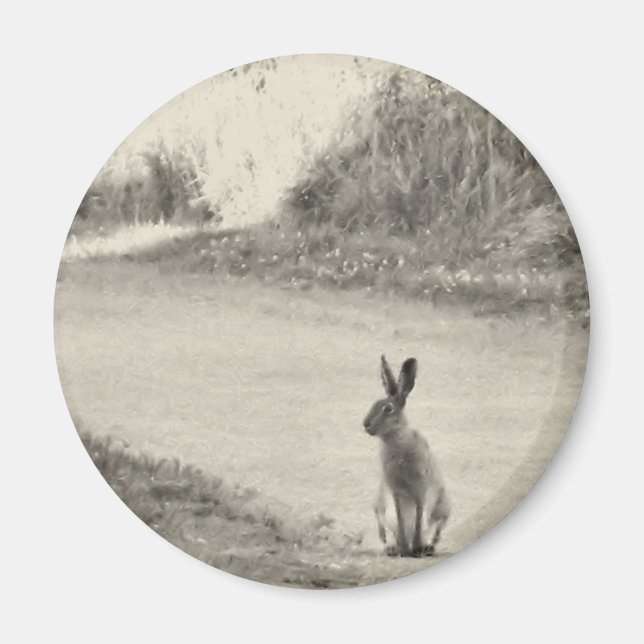 Hare today magnet (Front)