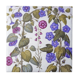 Harebell and Convovulus Ceramic Tile