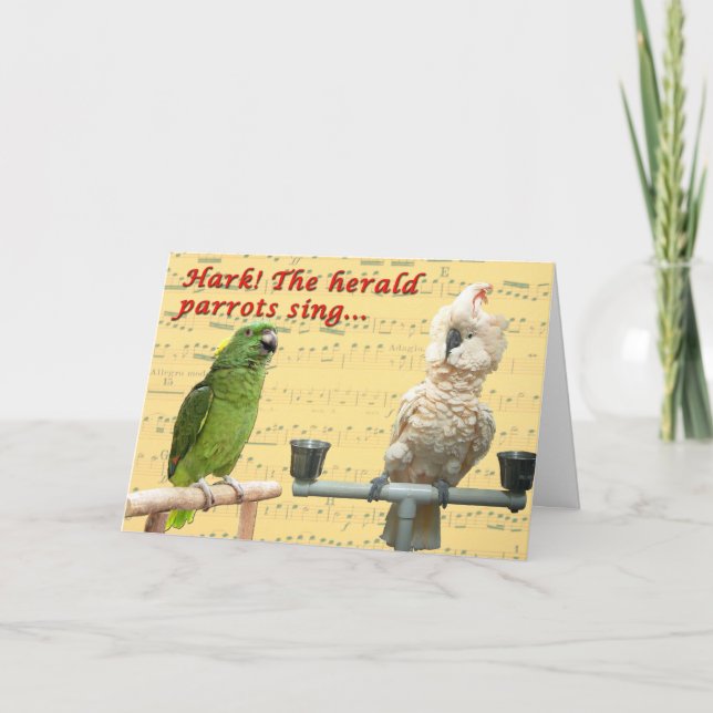 Hark the Parrots Holiday Card (Front)