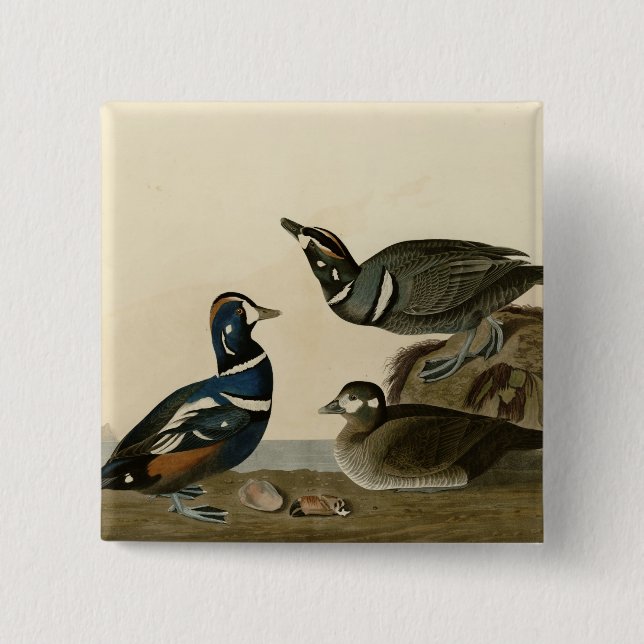 Harlequin Duck 15 Cm Square Badge (Front)