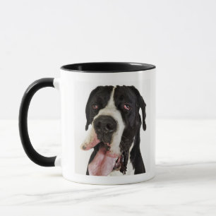 Harlequin Great Dane, close-up on white Mug