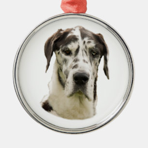 Harlequin Great Dane dog photo Metal Tree Decoration