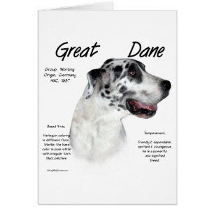 Harlequin Great Dane History Design