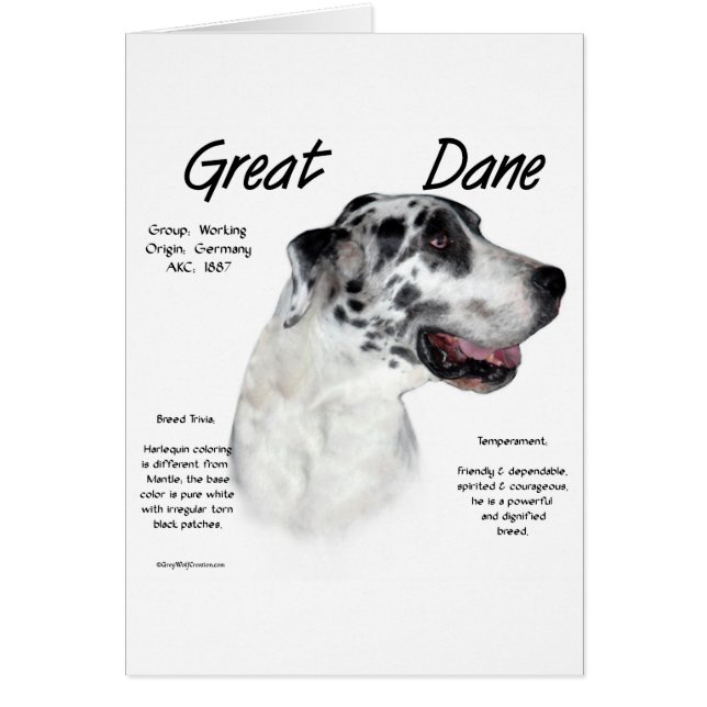 Harlequin Great Dane History Design (Front)