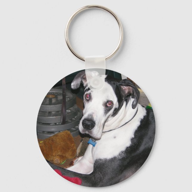 Harlequin Great Dane Key Ring (Front)