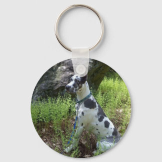 Harlequin Great Dane Keychain