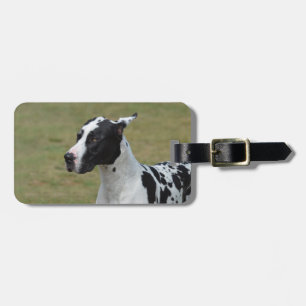 Harlequin Great Dane Luggage Tag