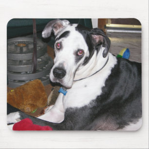 Harlequin Great Dane Mouse Pad